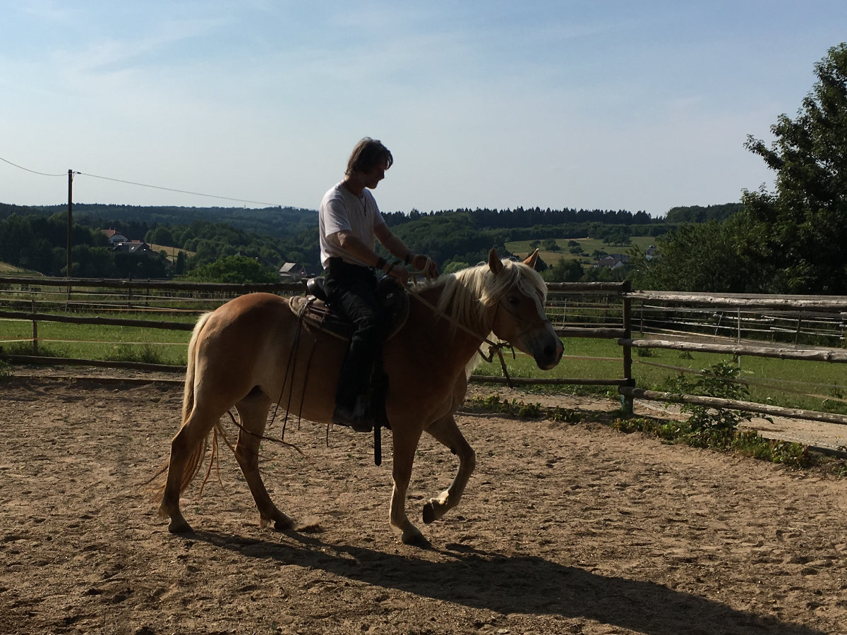 Pferd und Mensch beim Training am Wonnenberger Hof