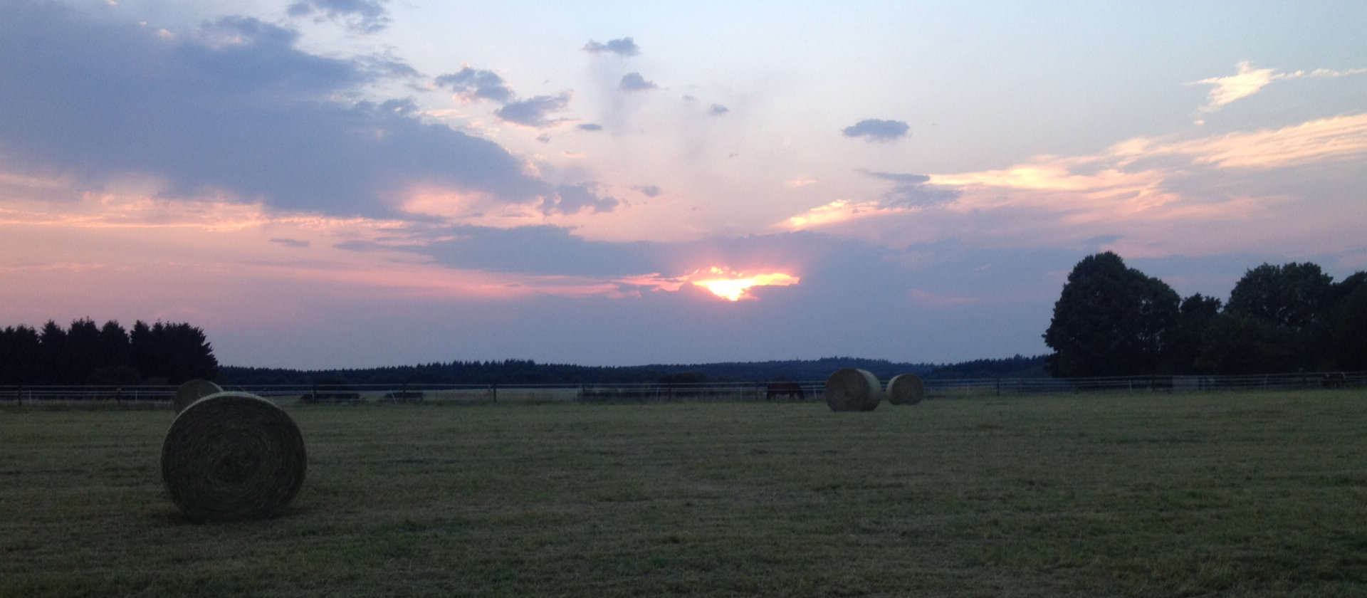 Pferde auf dem Wonnenberger Hof