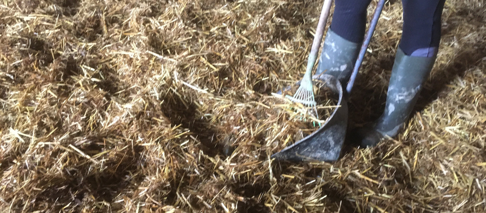 Stallhilfe bei der Arbeit auf dem Wonnenberger Hof