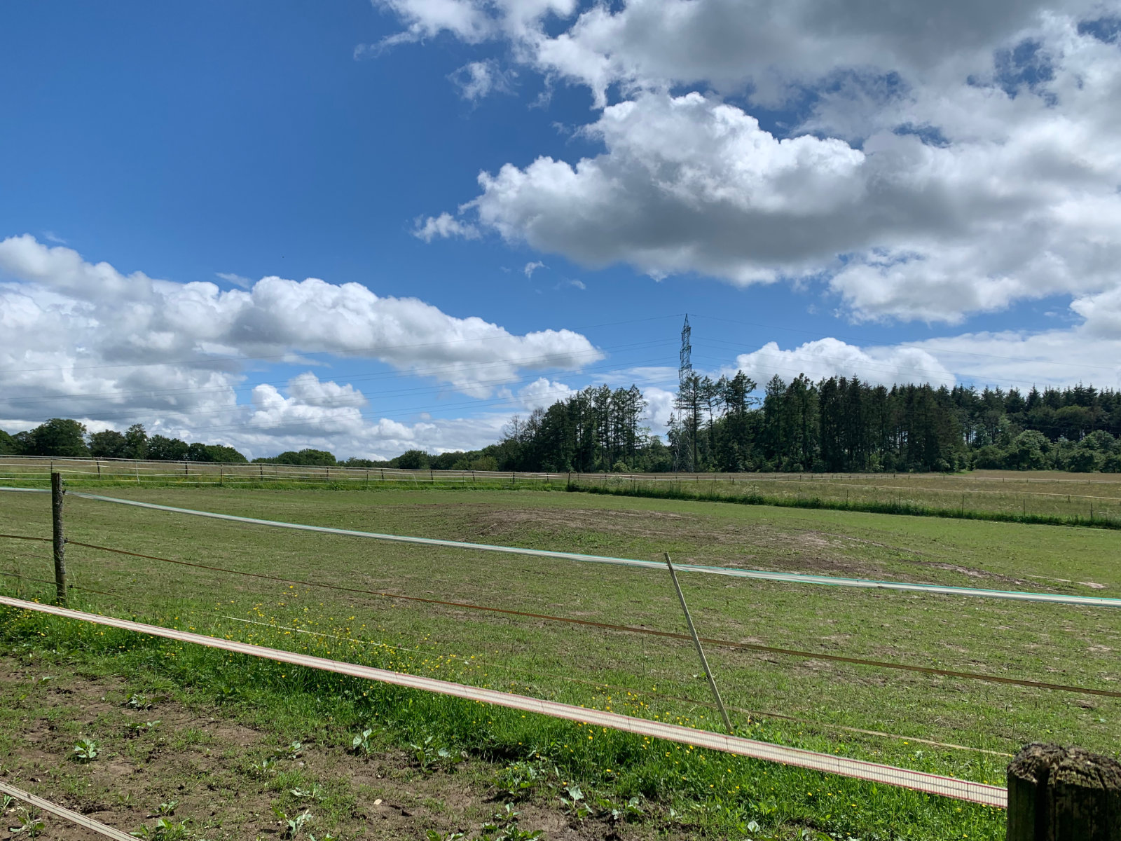 Wiesen am Wonnenberger Hof