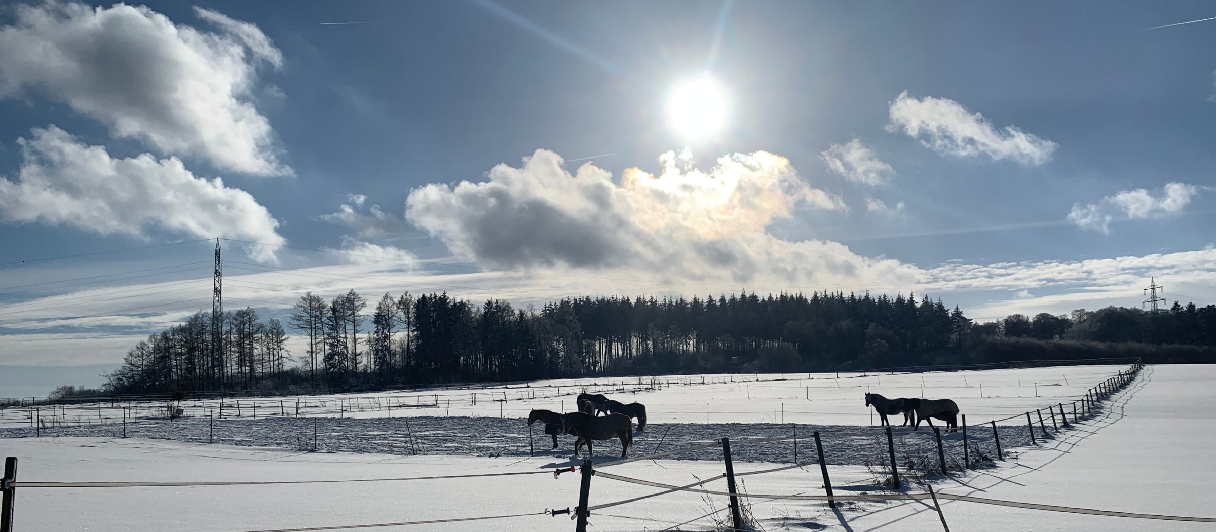 Winterpaddock am Wonnenberger Hof