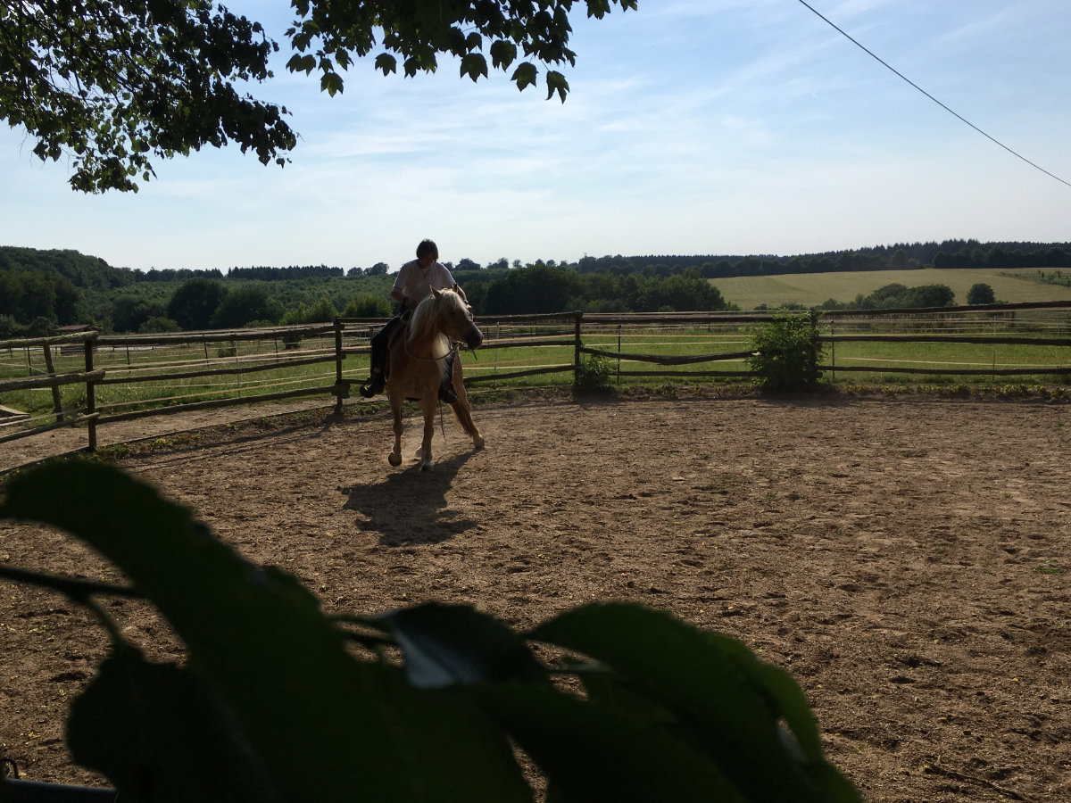 Roundpen am Wonnenberger Hof