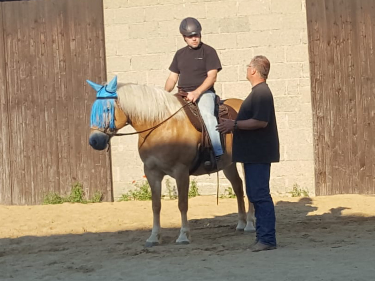 Pferd und Mensch beim Training am Wonnenberger Hof