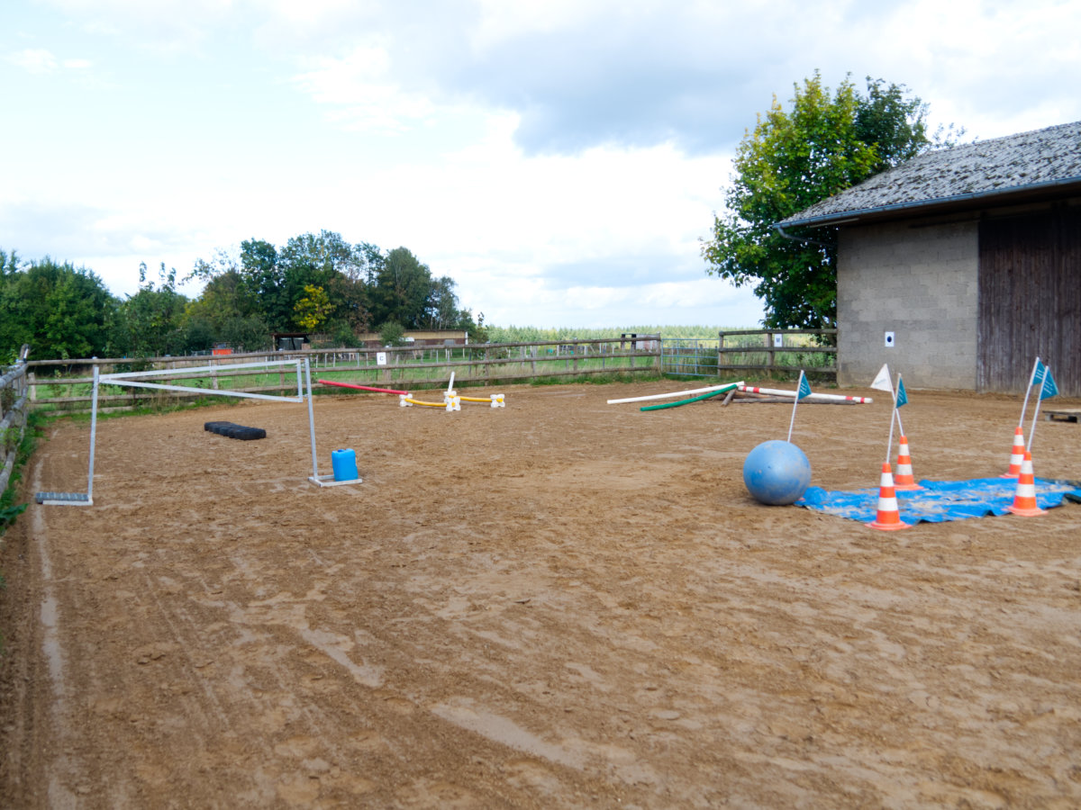 Trailparcours auf dem Reitplatz am Wonnenberger Hof