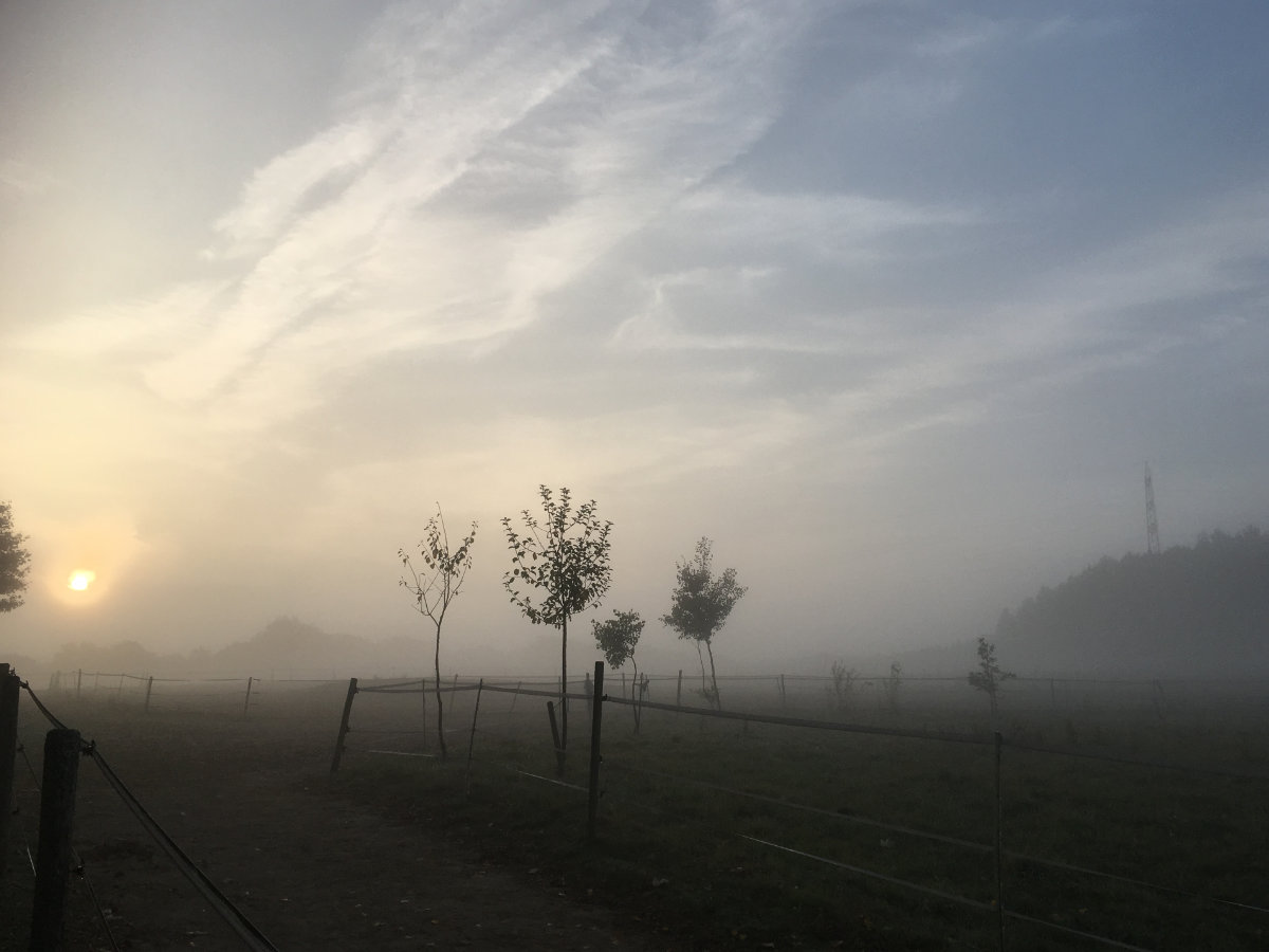 Wiesen und Wald im Westerwald rund um den Wonnenberger Hof